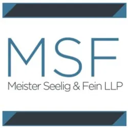 Meister Seelig & Fein PLLC